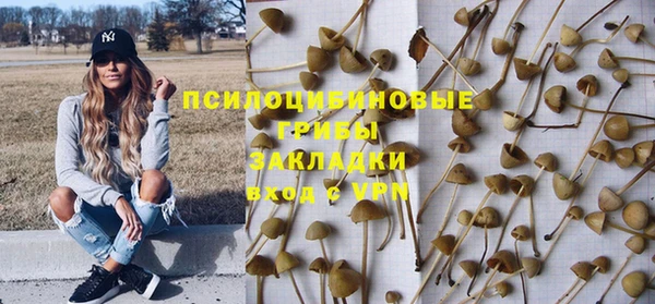 ГАЛЛЮЦИНОГЕННЫЕ ГРИБЫ Богородицк