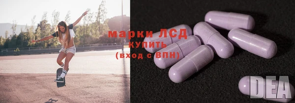 прущий лед Богданович