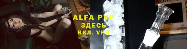 прущий лед Богданович