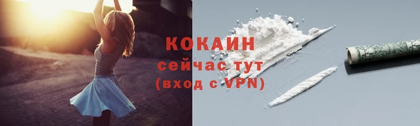 ГАЛЛЮЦИНОГЕННЫЕ ГРИБЫ Богородицк