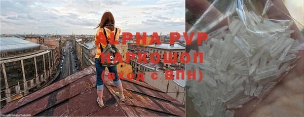 прущий лед Богданович