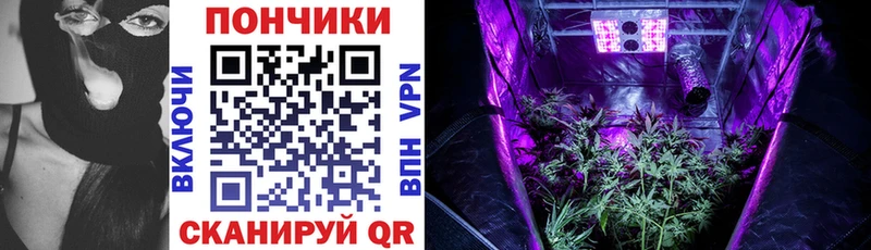 OMG как войти  Донской  даркнет наркотические препараты  Каннабис тримм 